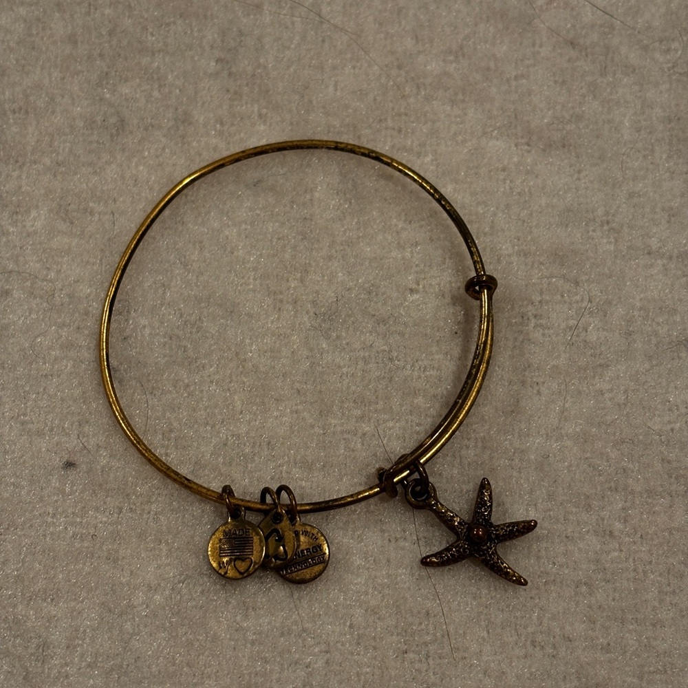 Alex and ani bangle bracelet